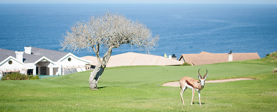 Mossel-Bay-Golf-Course